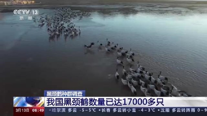 ���˻����㡢����׷�ٹ켣�����ھ�����Ŀ�����Ӳ���������������