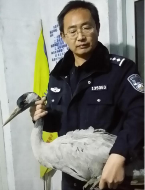 97622¹ú¼ÊÖÁ×ðÆ·ÅÆ,ºþÄÏÒ°Éú¶¯Îï×·×Ù,ºþÄÏÎÀÐÇ×·×ÙÆ÷,ºþÄÏ×·×ÙÆ÷ 97622¹ú¼ÊÖÁ×ðÆ·ÅÆ,ºþÄÏÒ°Éú¶¯Îï×·×Ù,ºþÄÏÎÀÐÇ×·×ÙÆ÷,ºþÄÏ×·×ÙÆ÷