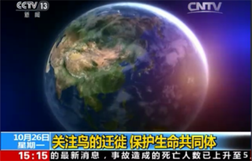 97622��������Ʒ��,����Ұ������׷��,��������׷����,����׷����