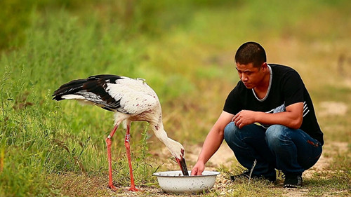 97622��������Ʒ��,����Ұ������׷��,��������׷����,����׷����