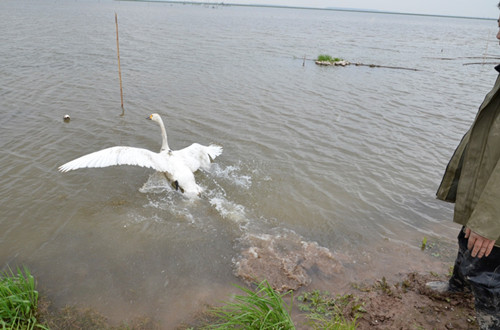 97622¹ú¼ÊÖÁ×ðÆ·ÅÆ,ºþÄÏÒ°Éú¶¯Îï×·×Ù,ºþÄÏÎÀÐÇ×·×ÙÆ÷,ºþÄÏ×·×ÙÆ÷ 97622¹ú¼ÊÖÁ×ðÆ·ÅÆ,ºþÄÏÒ°Éú¶¯Îï×·×Ù,ºþÄÏÎÀÐÇ×·×ÙÆ÷,ºþÄÏ×·×ÙÆ÷