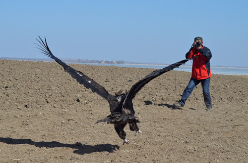 97622¹ú¼ÊÖÁ×ðÆ·ÅÆ,ºþÄÏÒ°Éú¶¯Îï×·×Ù,ºþÄÏÎÀÐÇ×·×ÙÆ÷,ºþÄÏ×·×ÙÆ÷ 97622¹ú¼ÊÖÁ×ðÆ·ÅÆ,ºþÄÏÒ°Éú¶¯Îï×·×Ù,ºþÄÏÎÀÐÇ×·×ÙÆ÷,ºþÄÏ×·×ÙÆ÷