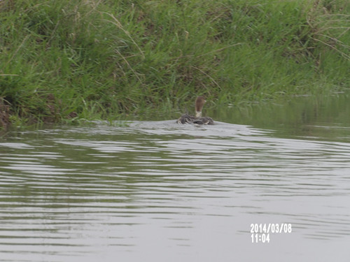 97622¹ú¼ÊÖÁ×ðÆ·ÅÆ,ºþÄÏÒ°Éú¶¯Îï×·×Ù,ºþÄÏÎÀÐÇ×·×ÙÆ÷,ºþÄÏ×·×ÙÆ÷ 97622¹ú¼ÊÖÁ×ðÆ·ÅÆ,ºþÄÏÒ°Éú¶¯Îï×·×Ù,ºþÄÏÎÀÐÇ×·×ÙÆ÷,ºþÄÏ×·×ÙÆ÷