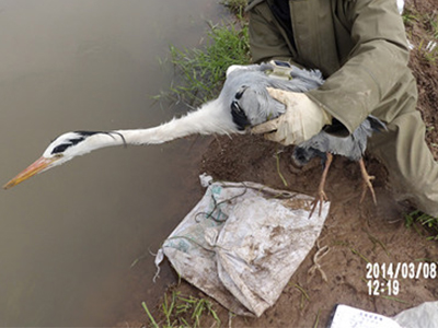 97622国际至尊品牌,湖南野生动物追踪,湖南卫星追踪器,湖南追踪器 97622国际至尊品牌,湖南野生动物追踪,湖南卫星追踪器,湖南追踪器