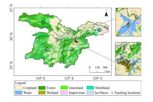 97622��������Ʒ��,����Ұ������׷��,��������׷����,����׷����