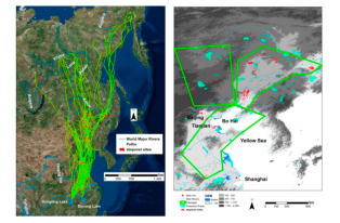 97622��������Ʒ��,����Ұ������׷��,��������׷����,����׷����
