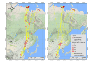 97622��������Ʒ��,����Ұ������׷��,��������׷����,����׷����