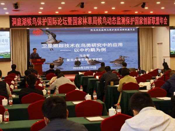 97622��������Ʒ��,����Ұ������׷��,��������׷����,����׷����