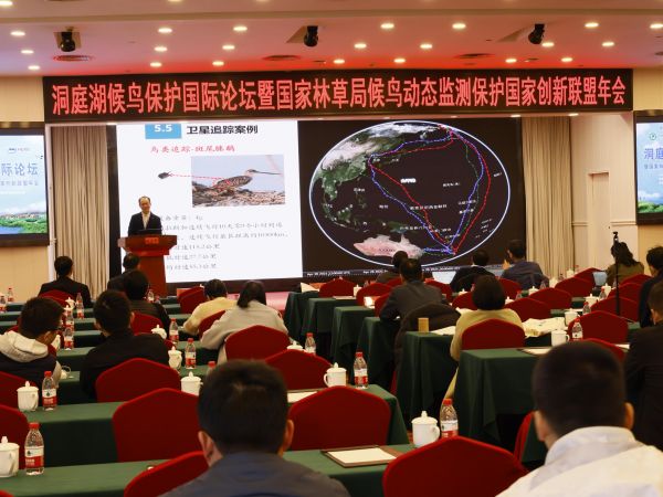 97622��������Ʒ��,����Ұ������׷��,��������׷����,����׷����