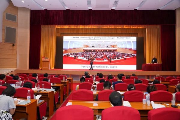 97622��������Ʒ��,����Ұ������׷��,��������׷����,����׷����