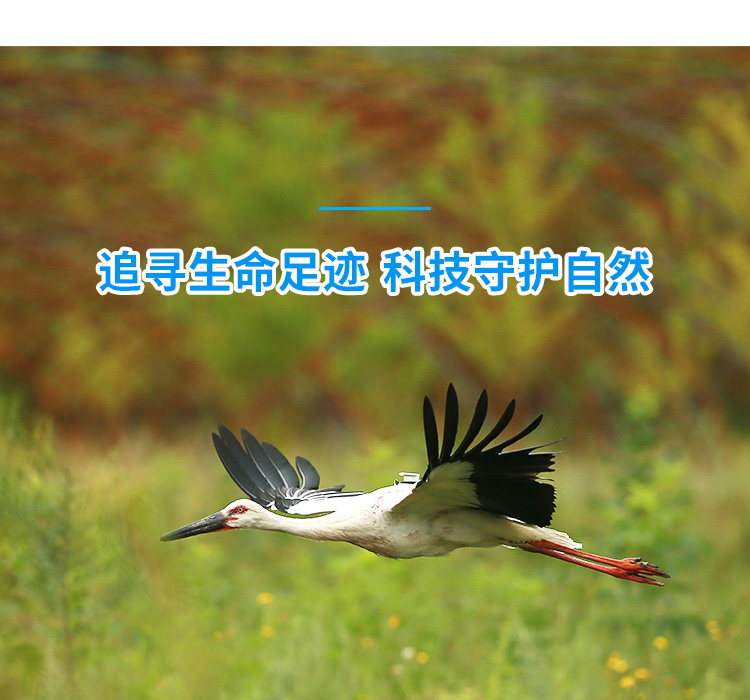 97622��������Ʒ��_����Ұ������׷��|��������׷����