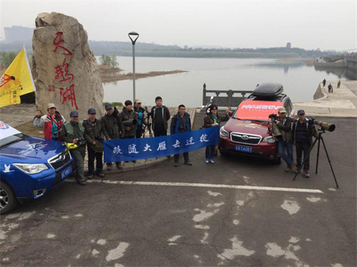 2016Äê3ÔÂÊØ»¤ºòÄñǨáã 2016Äê3ÔÂÊØ»¤ºòÄñǨáã