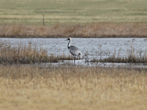 2016Äê1ÔÂÉñÆ÷ÖúÁ¦Ïɺ׻عé×ÔÈ» 2016Äê1ÔÂÉñÆ÷ÖúÁ¦Ïɺ׻عé×ÔÈ»
