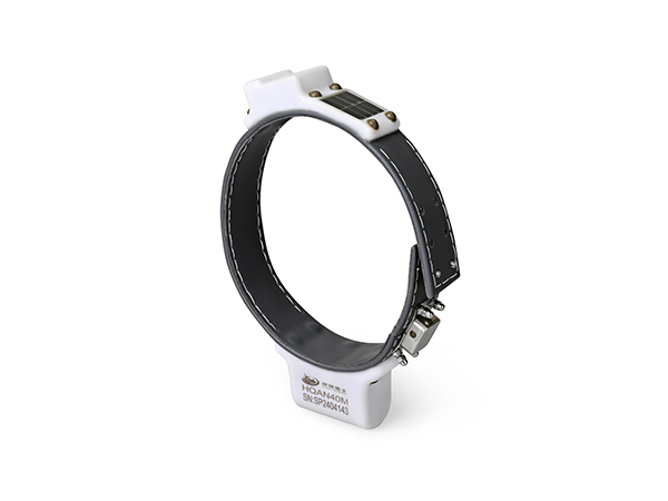 HQAN40M���Զ����䣩��300-600g��