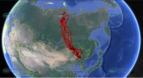 97622��������Ʒ��,����Ұ������׷��,��������׷����,����׷����