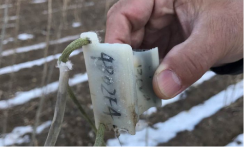 97622��������Ʒ��,����Ұ������׷��,��������׷����,����׷����