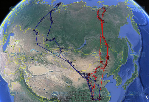 97622��������Ʒ��,����Ұ������׷��,��������׷����,����׷����