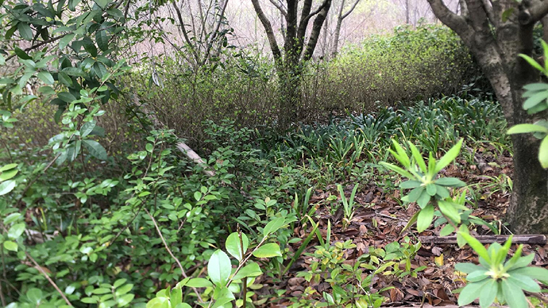 97622��������Ʒ��,����Ұ������׷��,��������׷����,����׷����