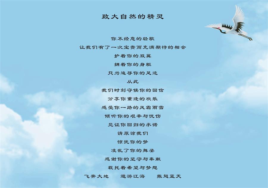 97622��������Ʒ��,����Ұ������׷��,��������׷����,����׷����