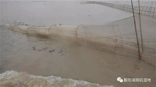 97622��������Ʒ��,����Ұ������׷��,��������׷����,����׷����