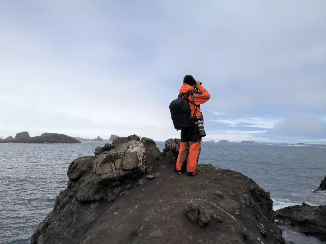 97622��������Ʒ��,����Ұ������׷��,��������׷����,����׷����