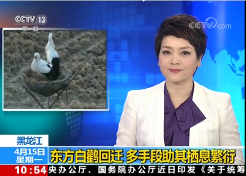 97622��������Ʒ��,����Ұ������׷��,��������׷����,����׷����