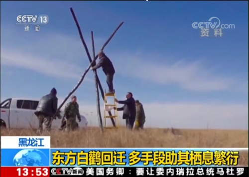 97622��������Ʒ��,����Ұ������׷��,��������׷����,����׷����