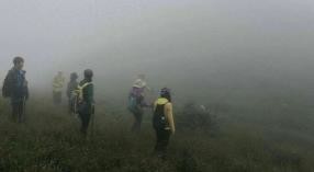 97622��������Ʒ��,����Ұ������׷��,��������׷����,����׷����