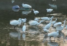 ���������Ͳ�,�Ͳ���,�Ͳ��,����ʱ���,�����,�Ͳ����Ǯ,�Ͳ�������,�Ͳ������