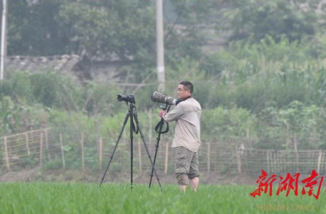 ���������Ͳ�,�Ͳ���,�Ͳ��,����ʱ���,�����,�Ͳ����Ǯ,�Ͳ�������,�Ͳ������