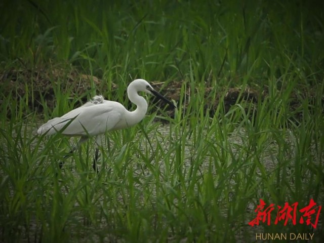 ���������Ͳ�,�Ͳ���,�Ͳ��,����ʱ���,�����,�Ͳ����Ǯ,�Ͳ�������,�Ͳ������