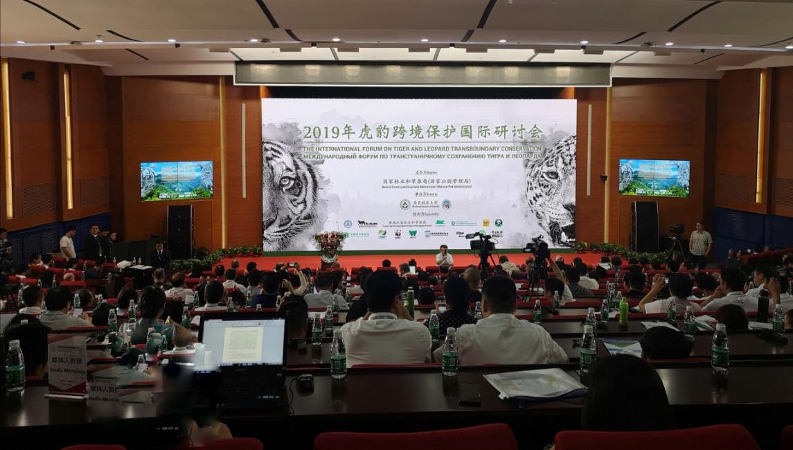 ���������Ͳ�,�Ͳ���,�Ͳ��,����ʱ���,�����,�Ͳ����Ǯ,�Ͳ�������,�Ͳ������