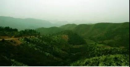 ���������Ͳ�,�Ͳ���,�Ͳ��,����ʱ���,�����,�Ͳ����Ǯ,�Ͳ�������,�Ͳ������