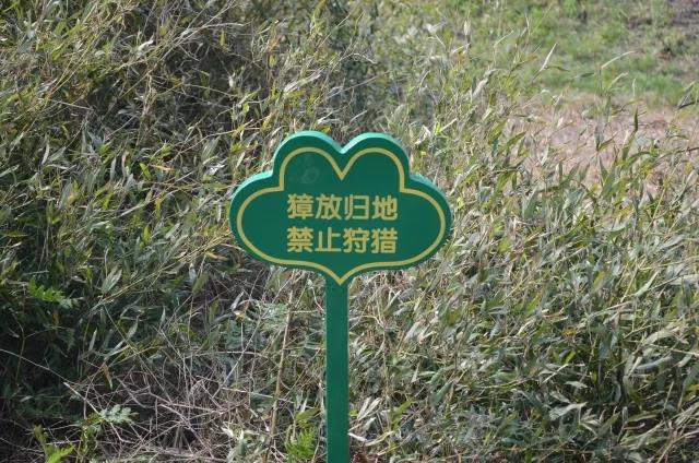 ���������Ͳ�,�Ͳ���,�Ͳ��,����ʱ���,�����,�Ͳ����Ǯ,�Ͳ�������,�Ͳ������