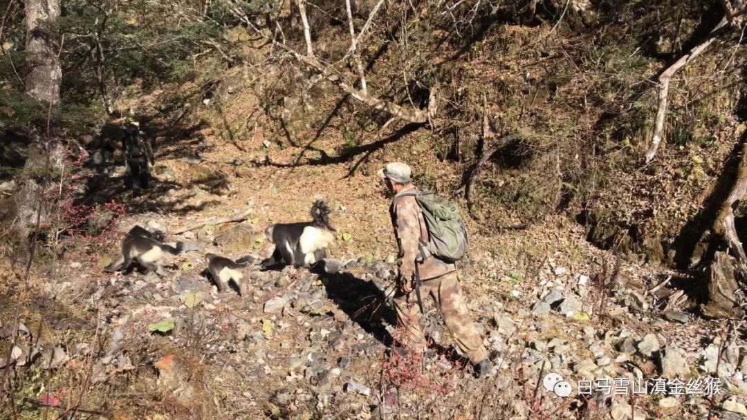 ���������Ͳ�,�Ͳ���,�Ͳ��,����ʱ���,�����,�Ͳ����Ǯ,�Ͳ�������,�Ͳ������