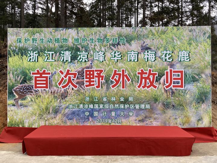 ���������Ͳ�,�Ͳ���,�Ͳ��,����ʱ���,�����,�Ͳ����Ǯ,�Ͳ�������,�Ͳ������