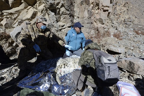 97622��������Ʒ��,����Ұ������׷��,��������׷����,����׷����