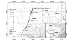 97622��������Ʒ��,����Ұ������׷��,��������׷����,����׷����