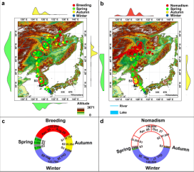 97622��������Ʒ��,����Ұ������׷��,��������׷����,����׷����