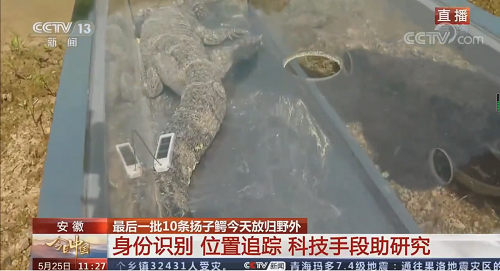 97622��������Ʒ��,����Ұ������׷��,��������׷����,����׷����