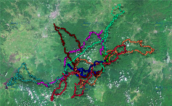 97622��������Ʒ��,����Ұ������׷��,��������׷����,����׷����