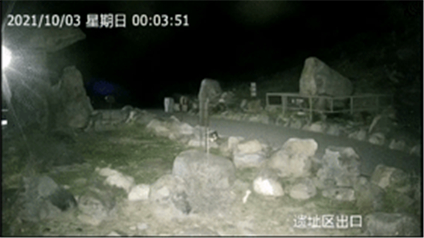 97622��������Ʒ��,����Ұ������׷��,��������׷����,����׷����