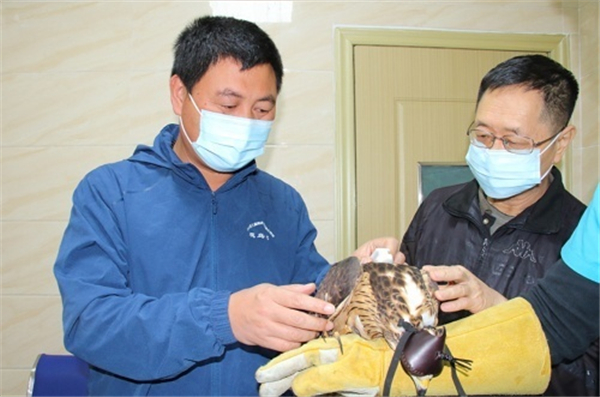 97622��������Ʒ��,����Ұ������׷��,��������׷����,����׷����