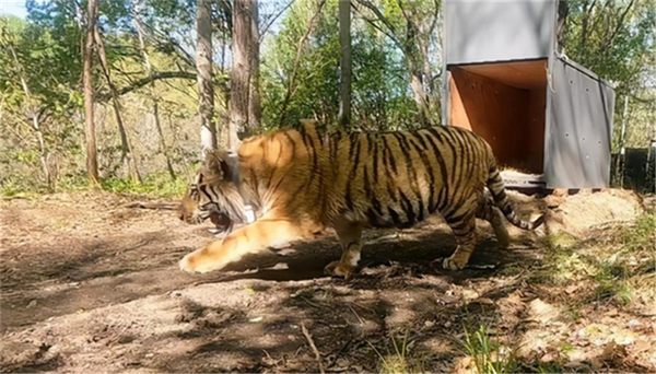 97622��������Ʒ��,����Ұ������׷��,��������׷����,����׷����