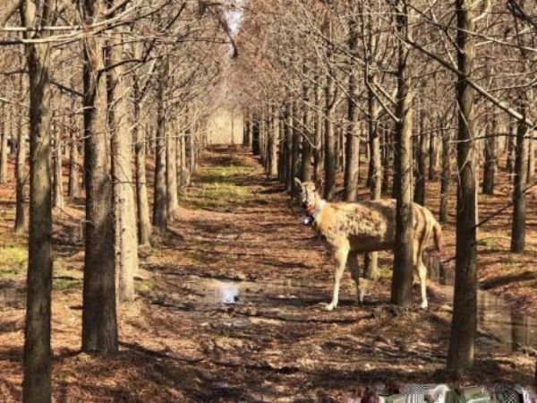 97622��������Ʒ��,����Ұ������׷��,��������׷����,����׷����