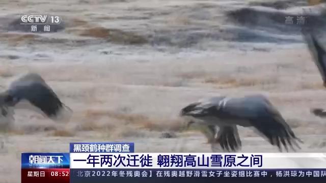 97622��������Ʒ��,����Ұ������׷��,��������׷����,����׷����