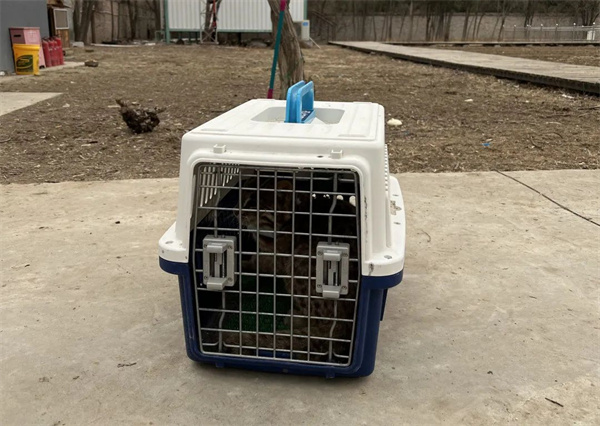 97622��������Ʒ��,����Ұ������׷��,��������׷����,����׷����