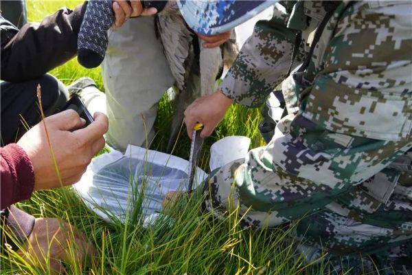 97622��������Ʒ��,����Ұ������׷��,��������׷����,����׷����