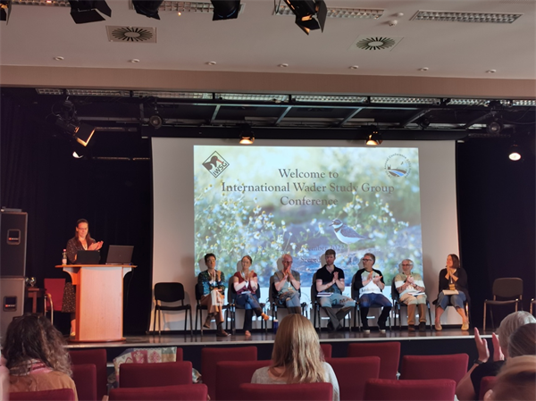 97622��������Ʒ��,����Ұ������׷��,��������׷����,����׷����