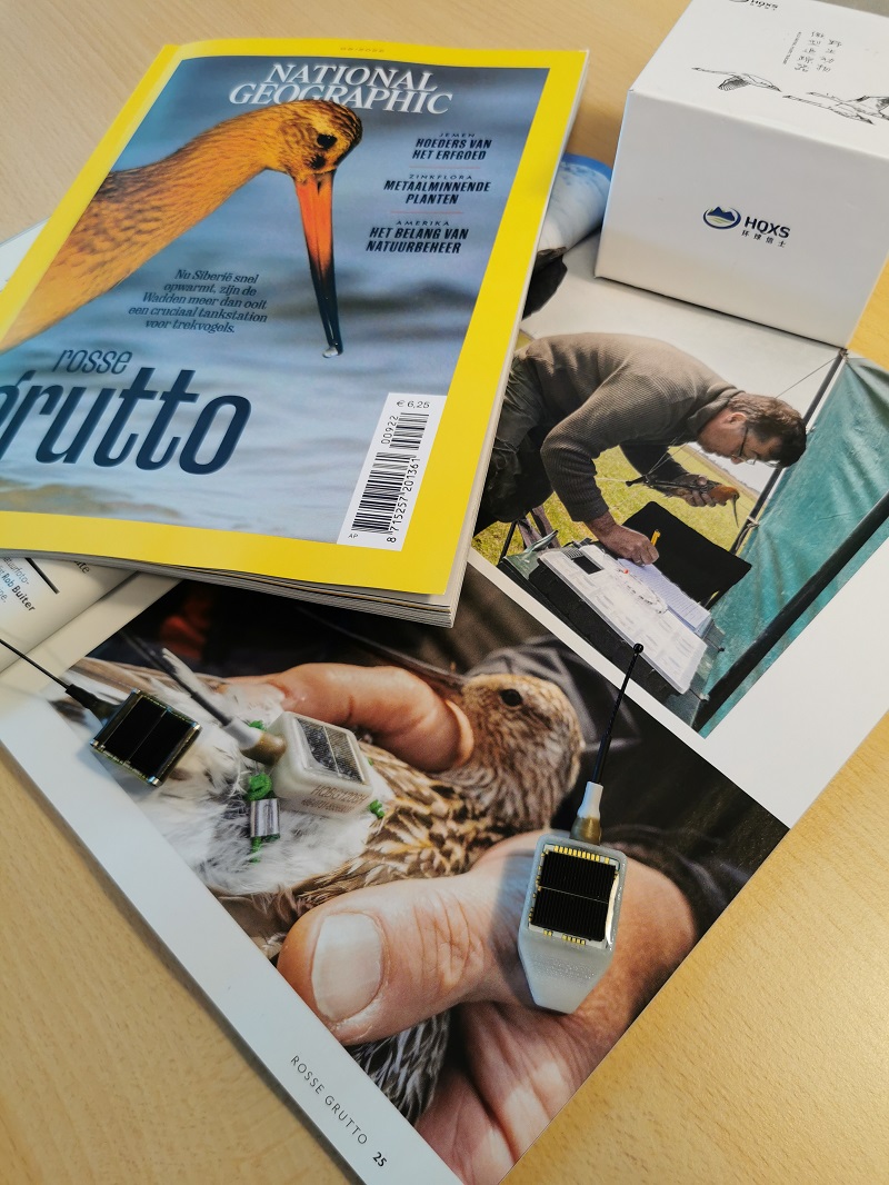 97622��������Ʒ��,����Ұ������׷��,��������׷����,����׷����